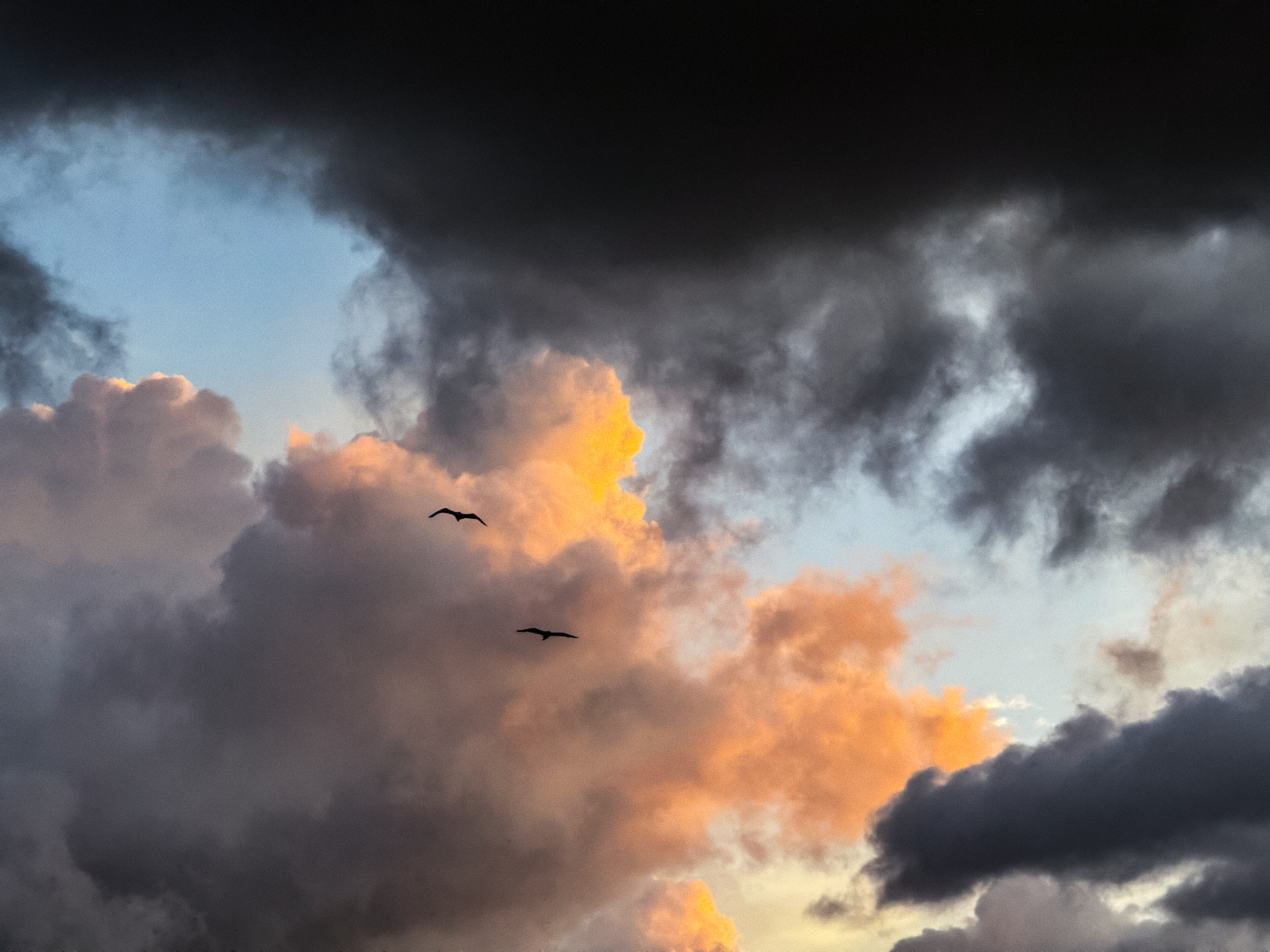 Summer evening view used as the cover image for the post.